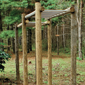 Relaxation in nature